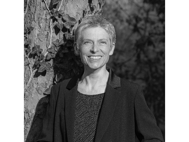 Présentation du quatuor